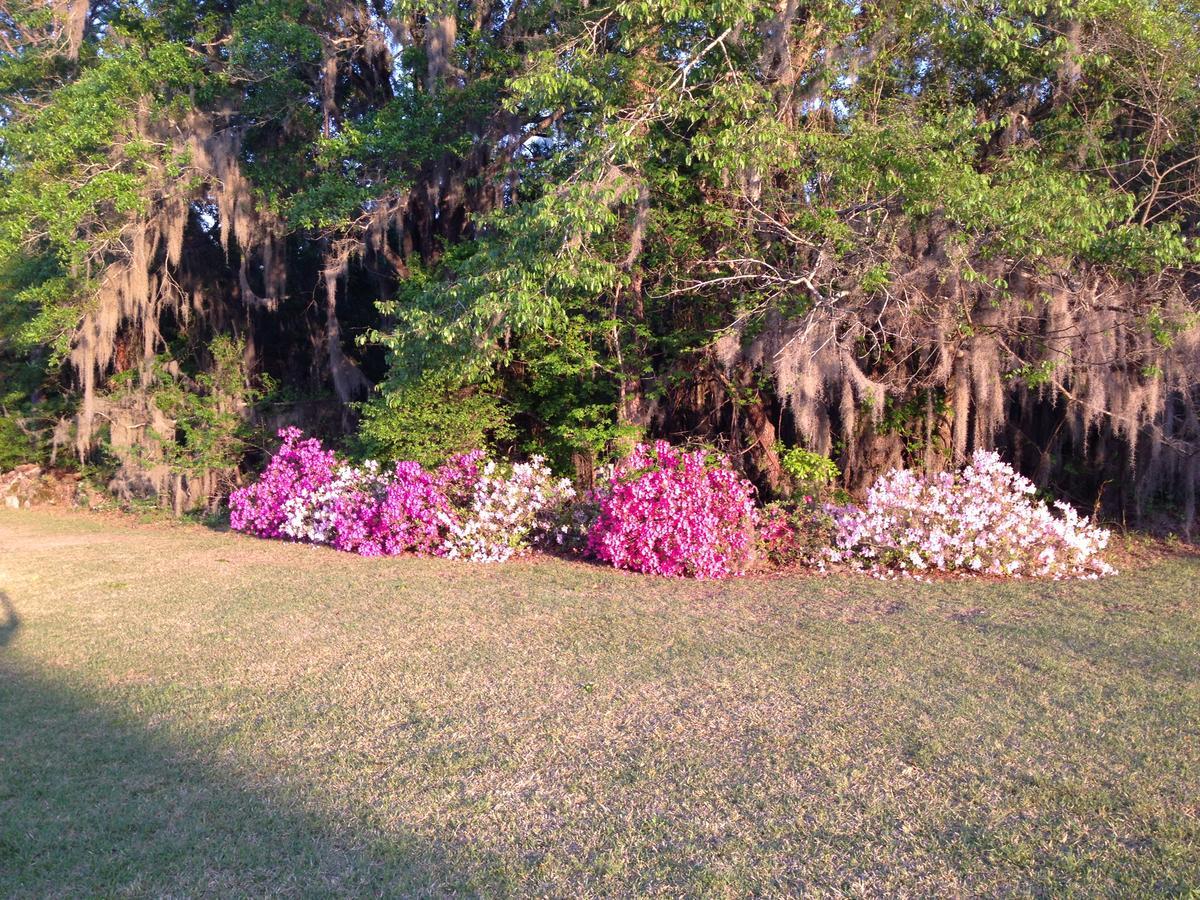 Dublin Farm Bed & Breakfast Ngoại thất bức ảnh
