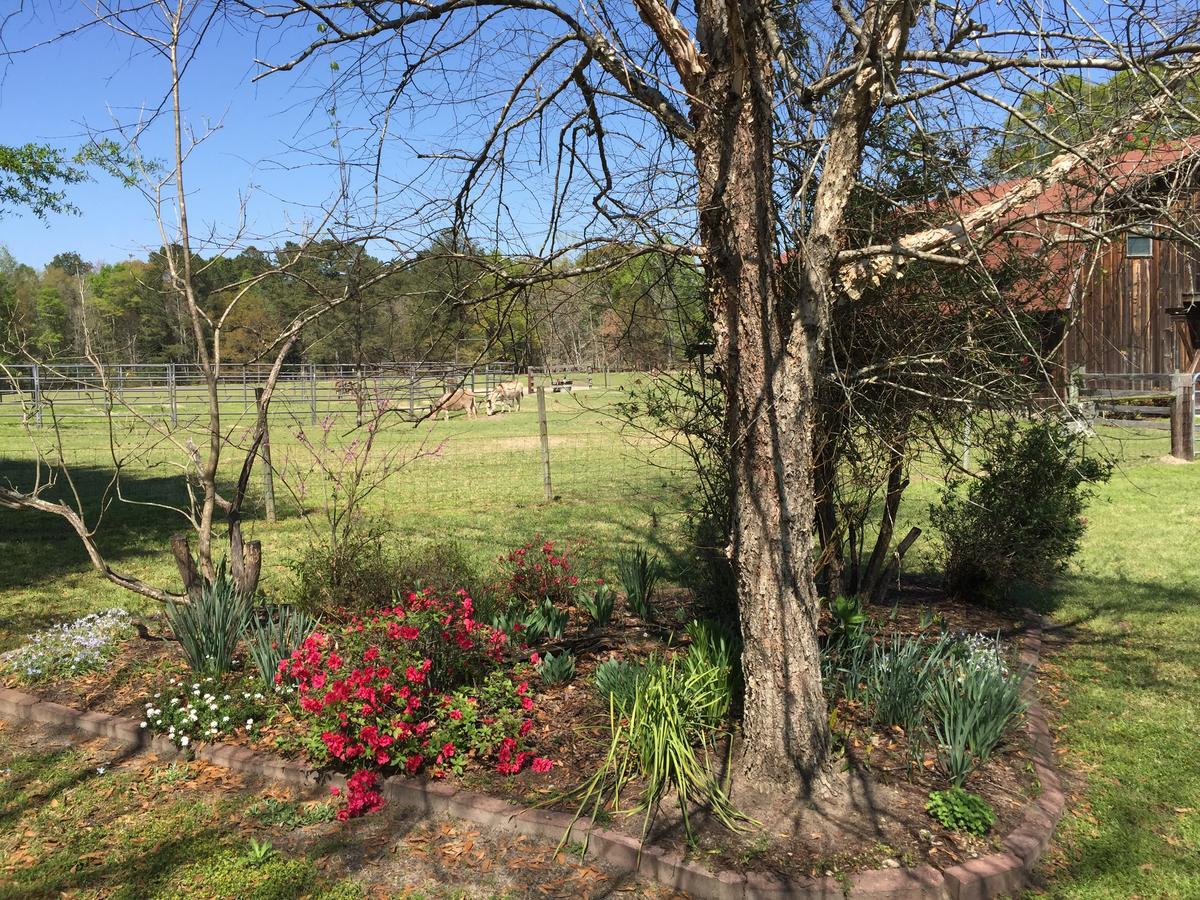 Dublin Farm Bed & Breakfast Ngoại thất bức ảnh