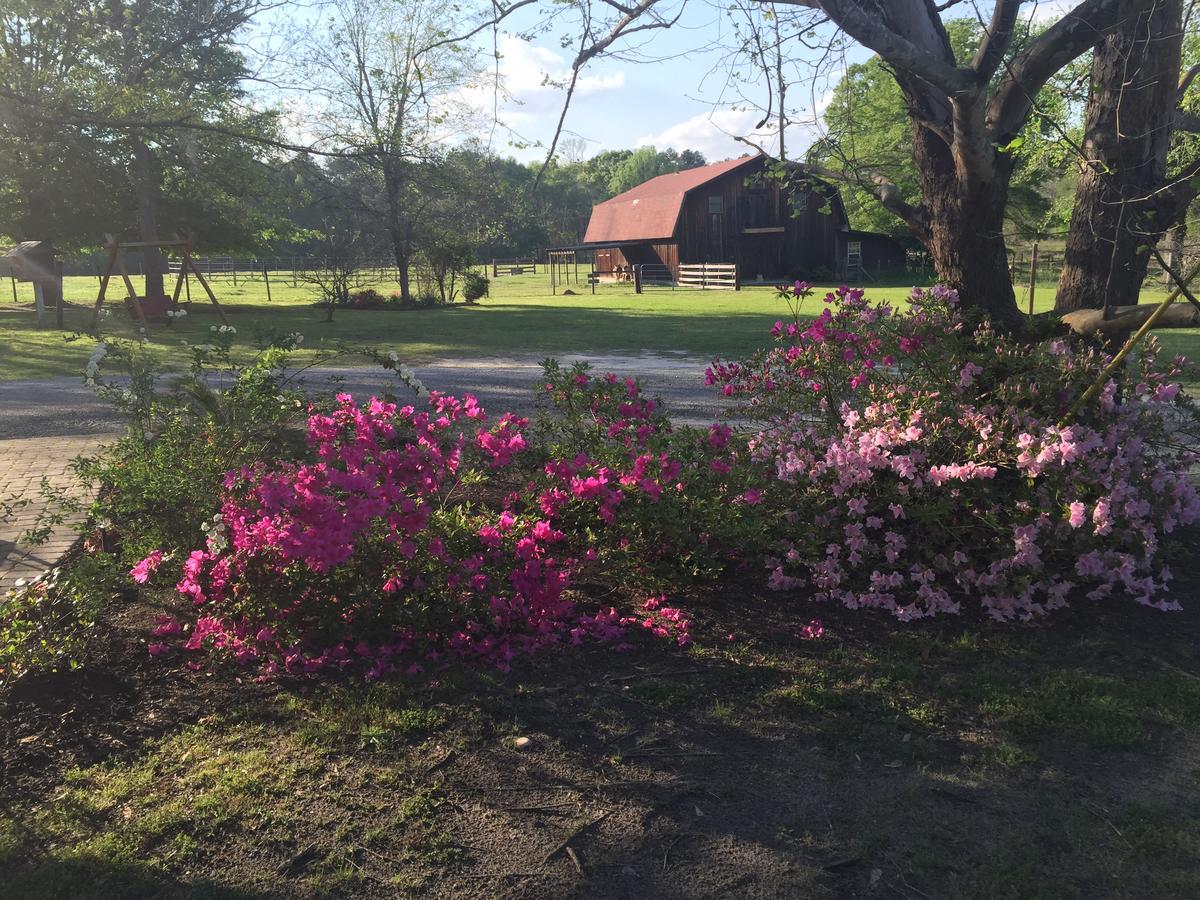 Dublin Farm Bed & Breakfast Ngoại thất bức ảnh
